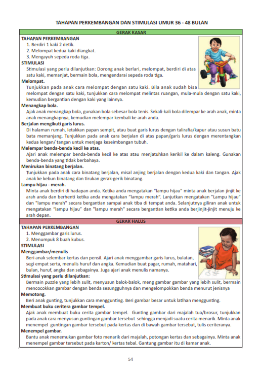 Stimulasi_Deteksi 36-48 Bulan 36-48 Bulan 1